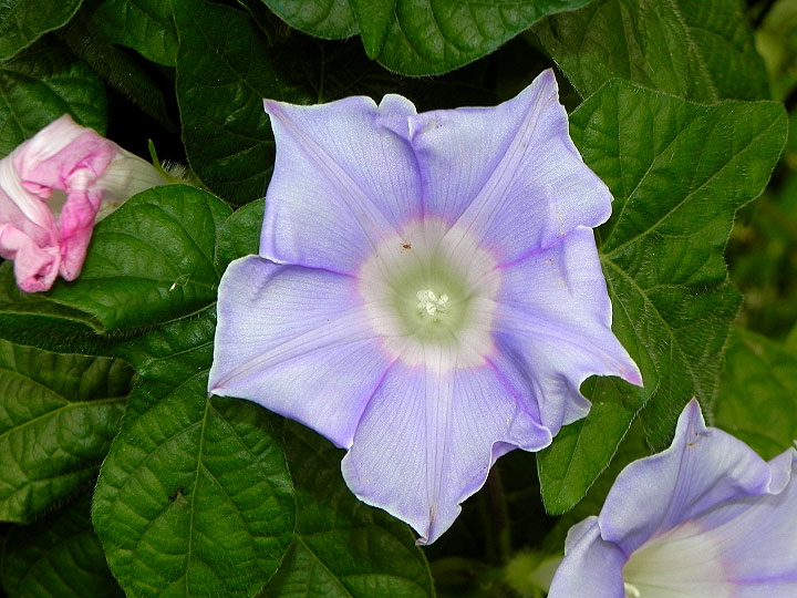 DSCN2579
