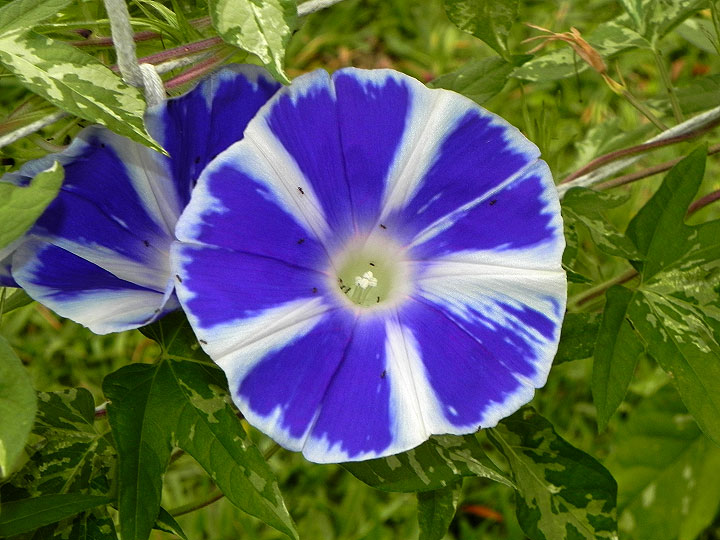 DSCN2635