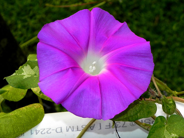 DSCN2817