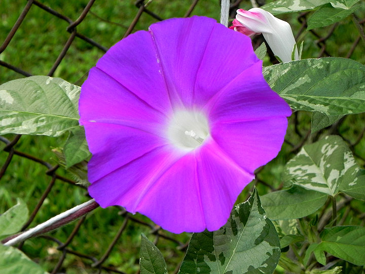 DSCN2818