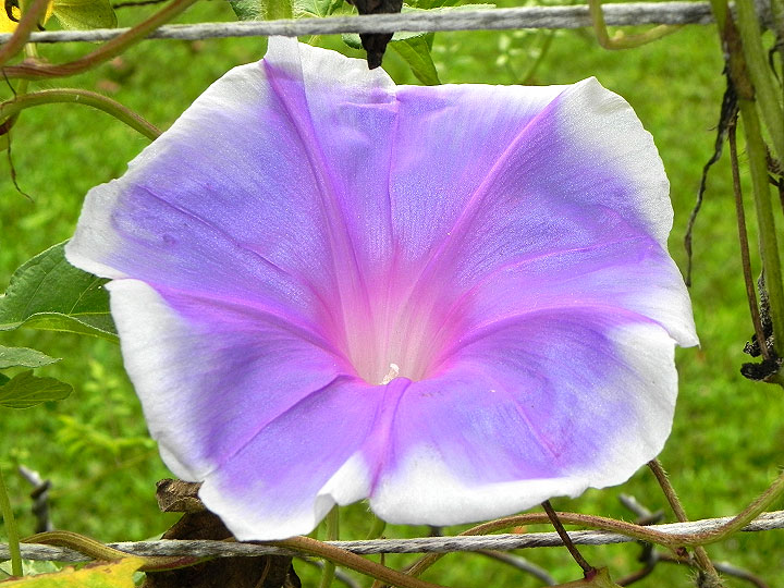 DSCN3055