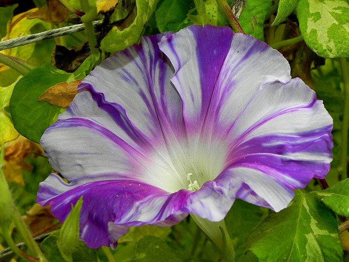 DSCN3056