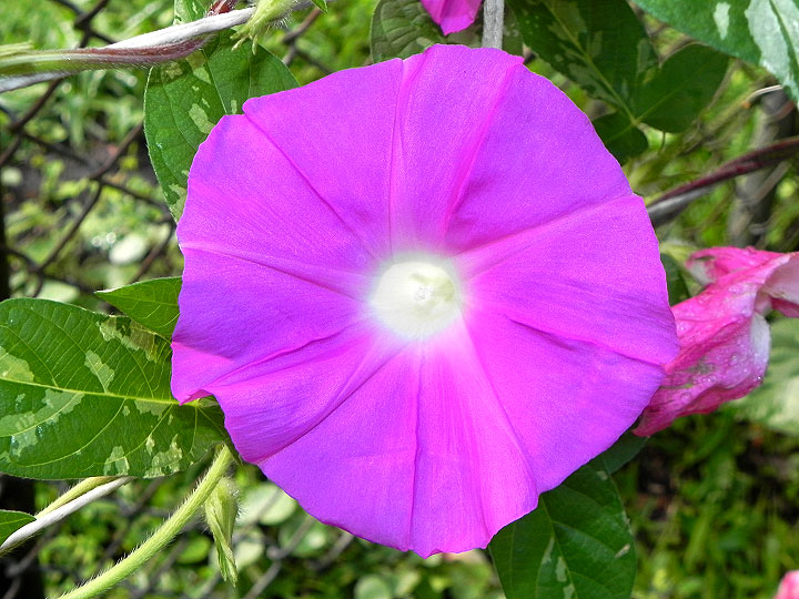 DSCN3064