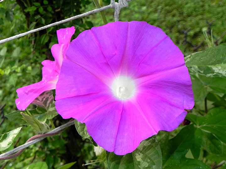 DSCN3065