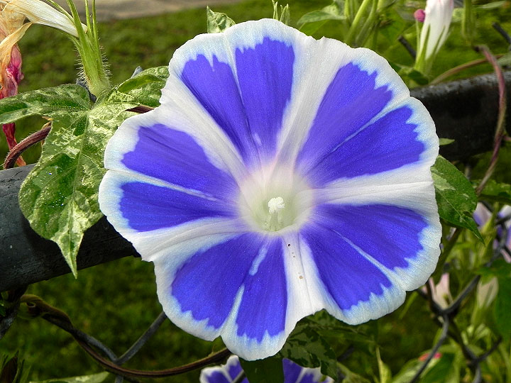 DSCN3132