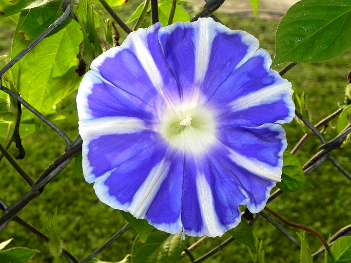 DSCN3134