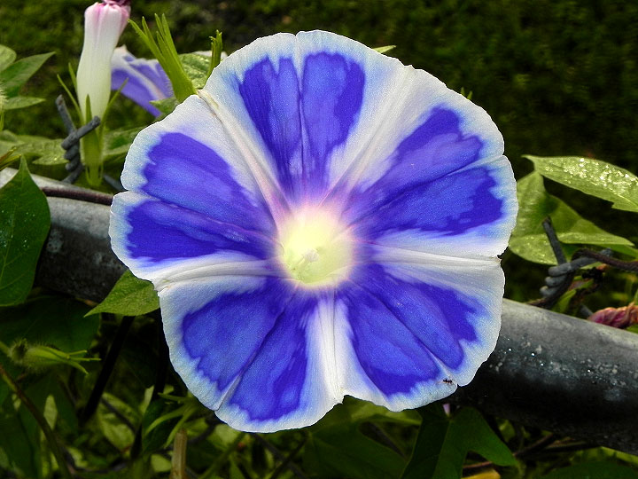 DSCN3135