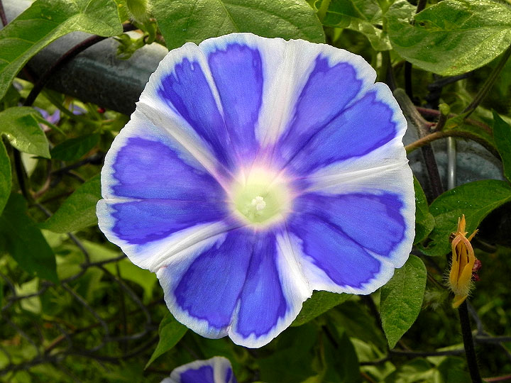 DSCN3136