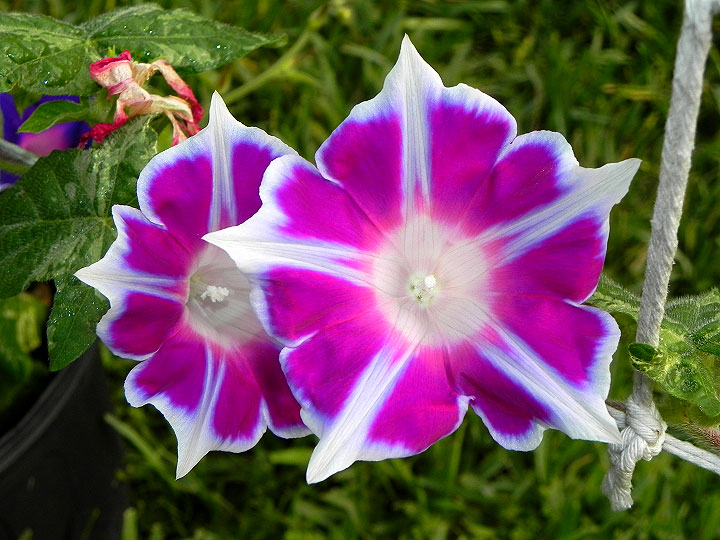 DSCN3164