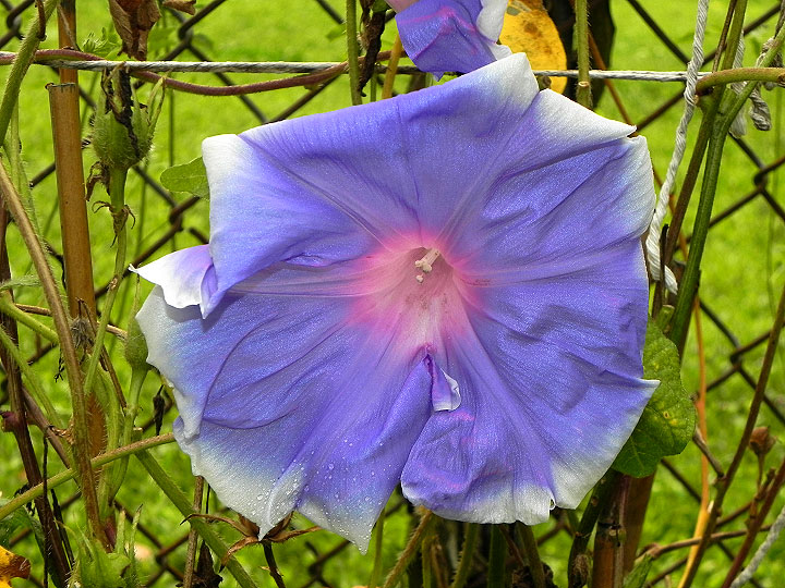 DSCN3195