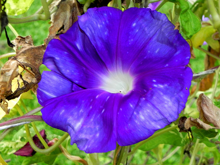 DSCN3197