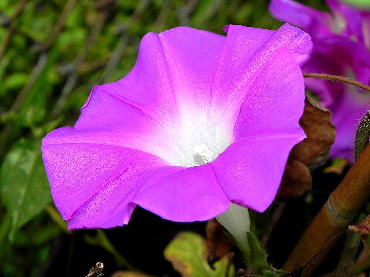 DSCN3199