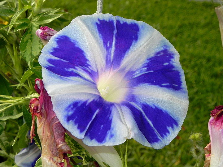 DSCN3211
