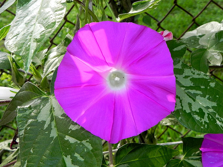 DSCN3392