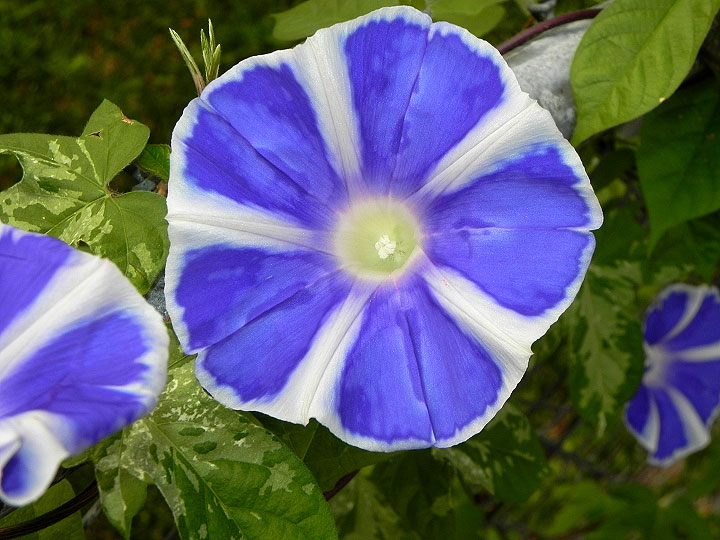 DSCN3440