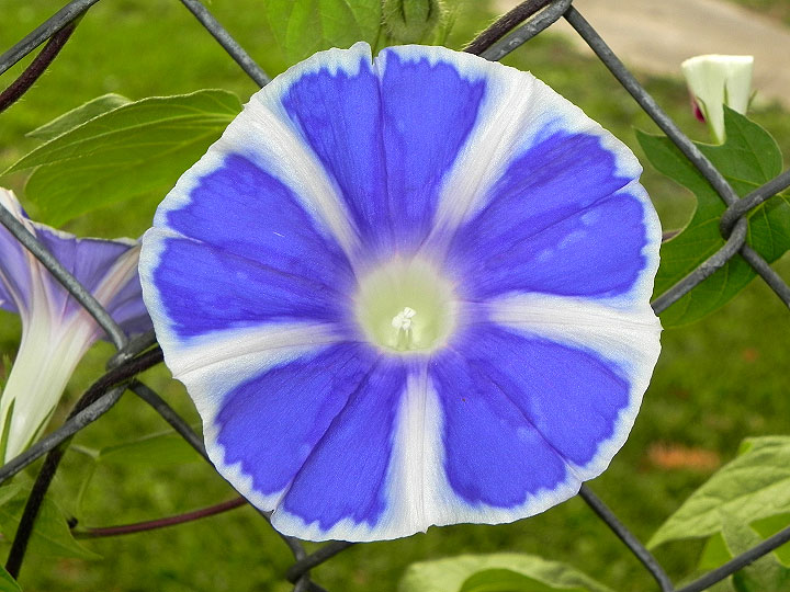 DSCN3442