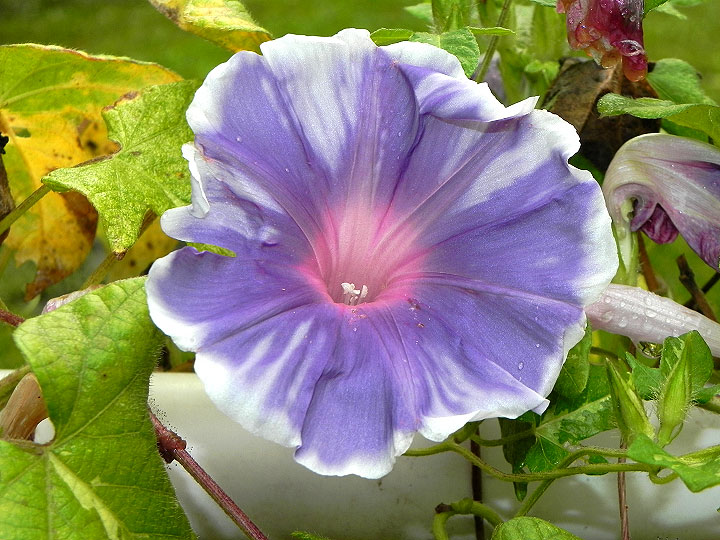 DSCN3457