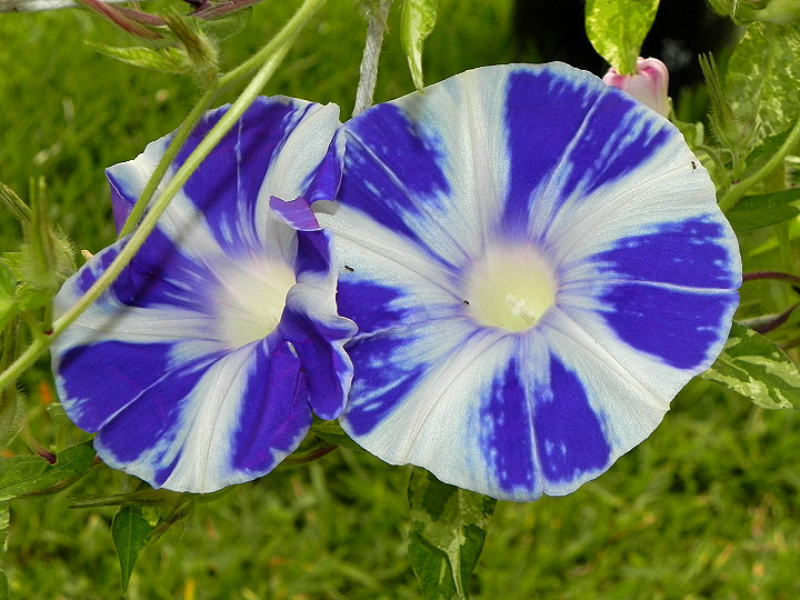 DSCN3499