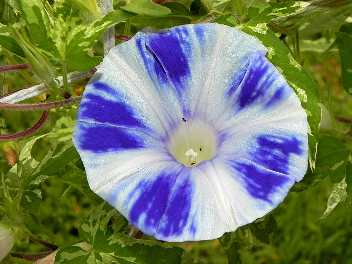 DSCN3501