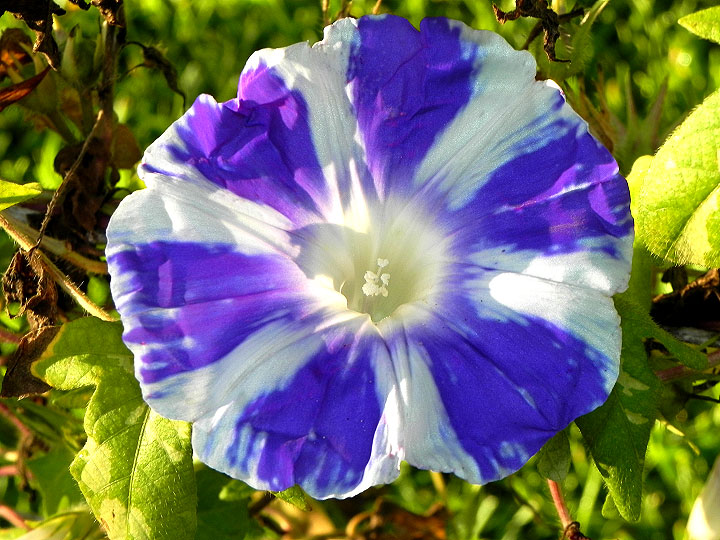 DSCN3534