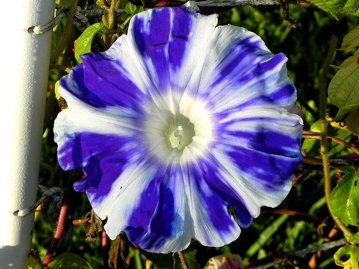 DSCN3535