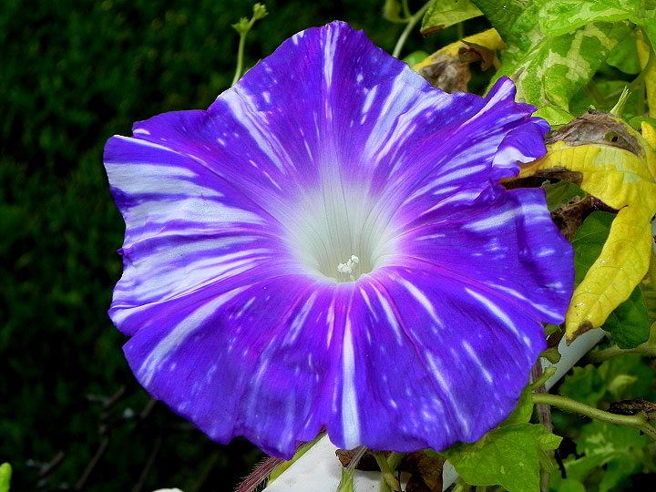 DSCN3609