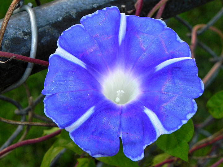DSCN3655