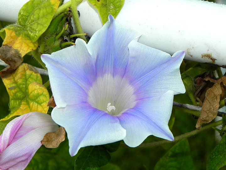 DSCN3660