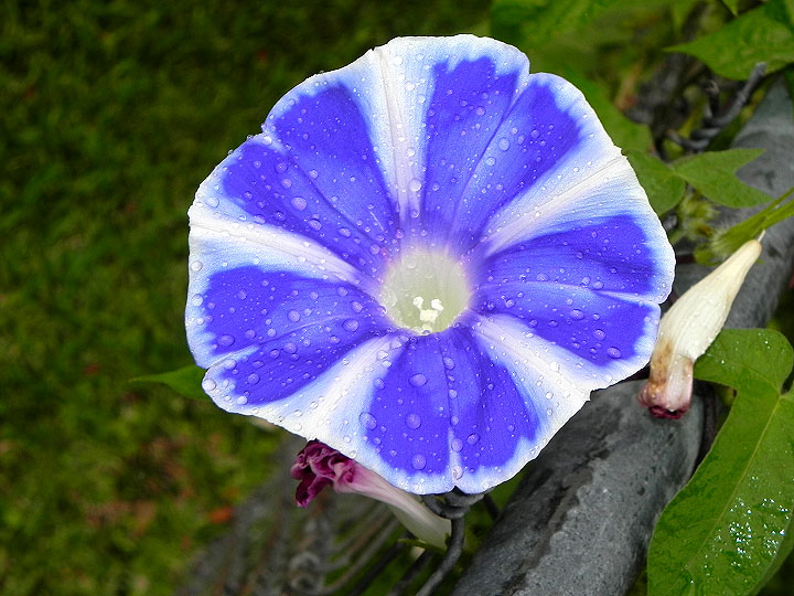 DSCN3699