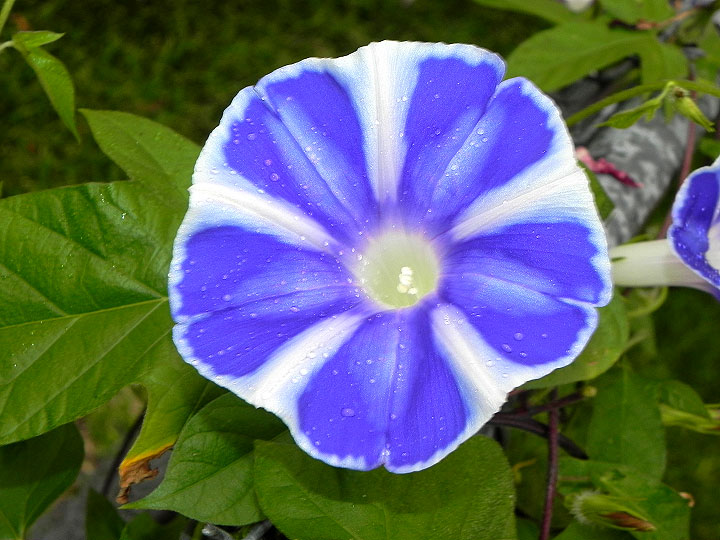 DSCN3700