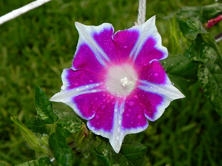 DSCN3711