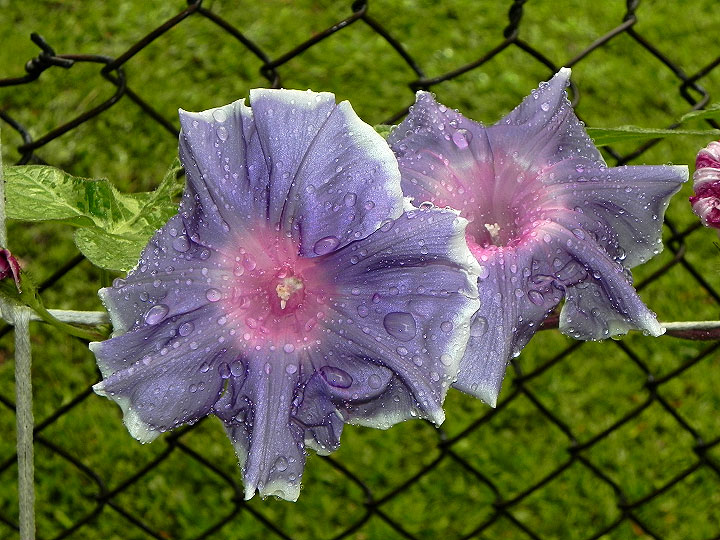 DSCN3800