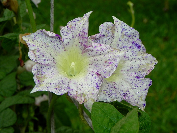 DSCN3873