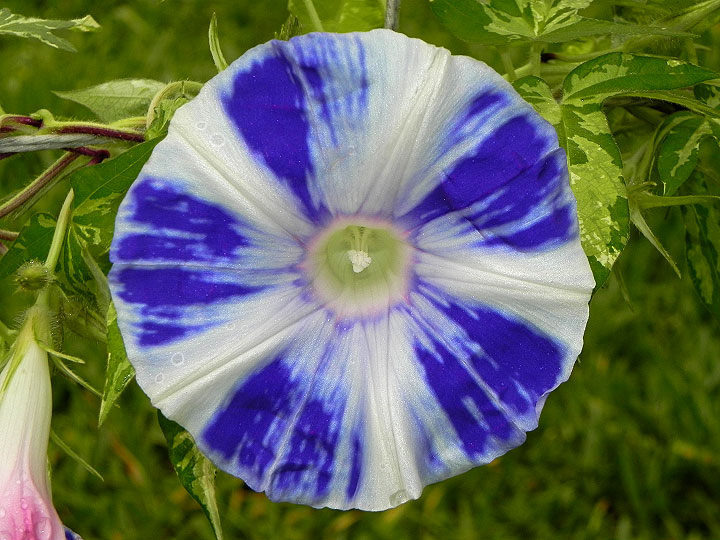 DSCN3901