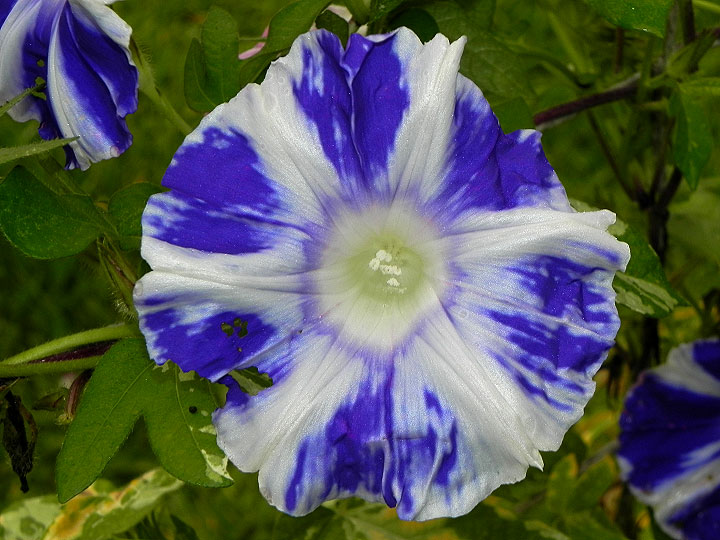 DSCN3902