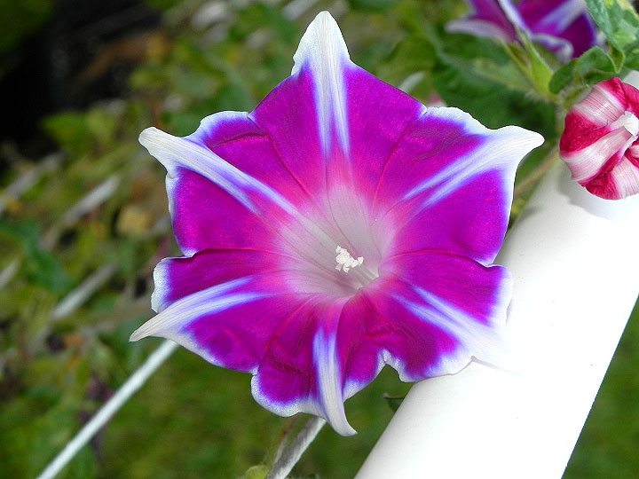 DSCN3915