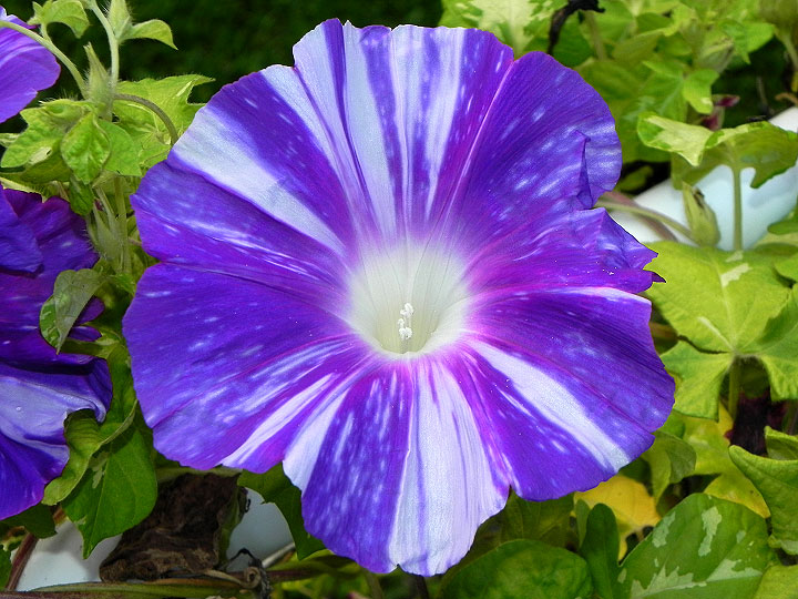 DSCN4012