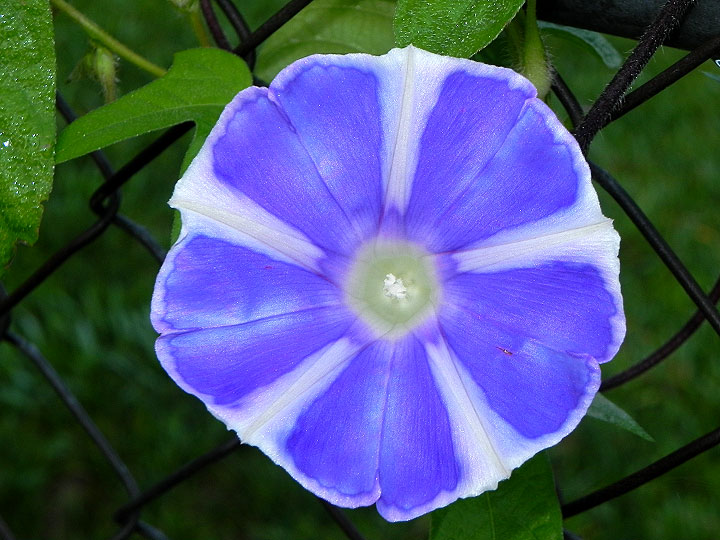 DSCN4031