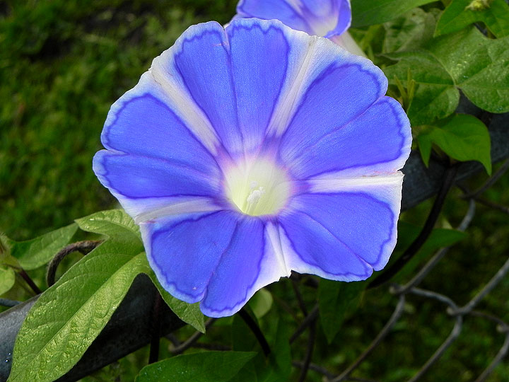 DSCN4226