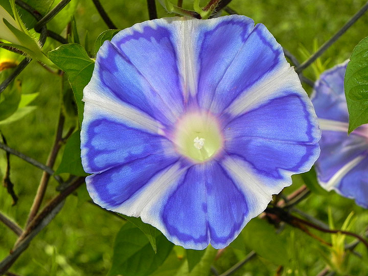 DSCN4228