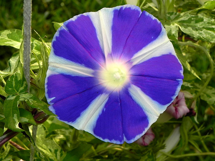 DSCN4283_01