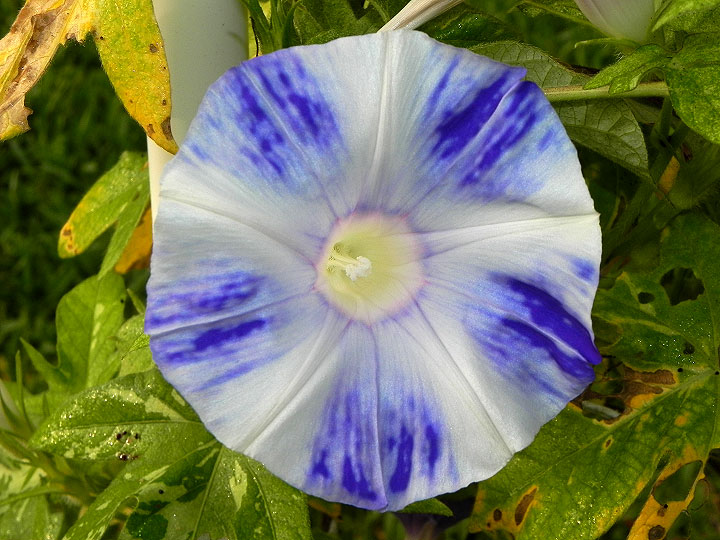 DSCN4284_01