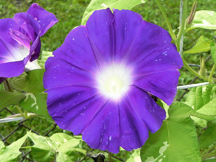 DSCN4428