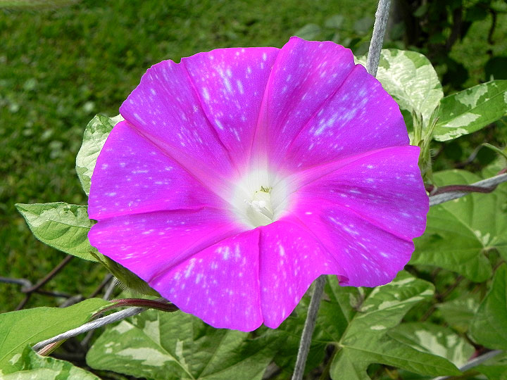 DSCN4430_01