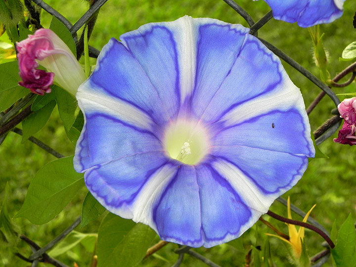 DSCN4472_01