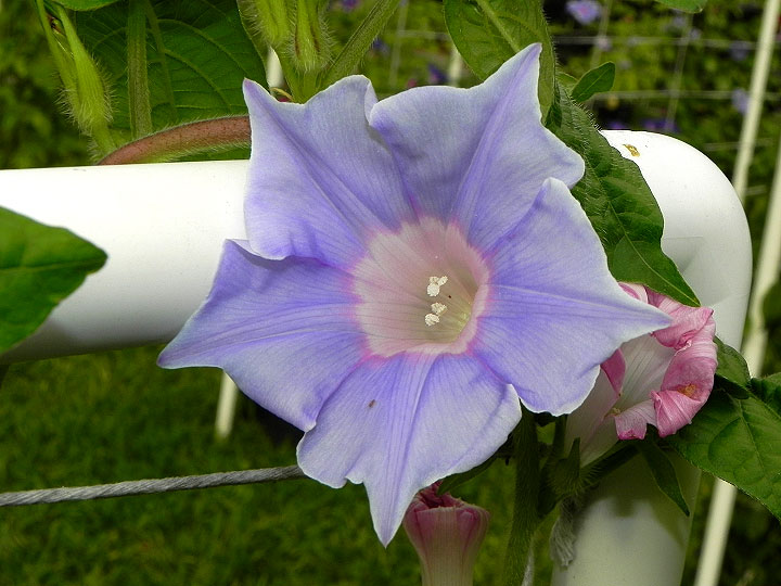 DSCN4481_01