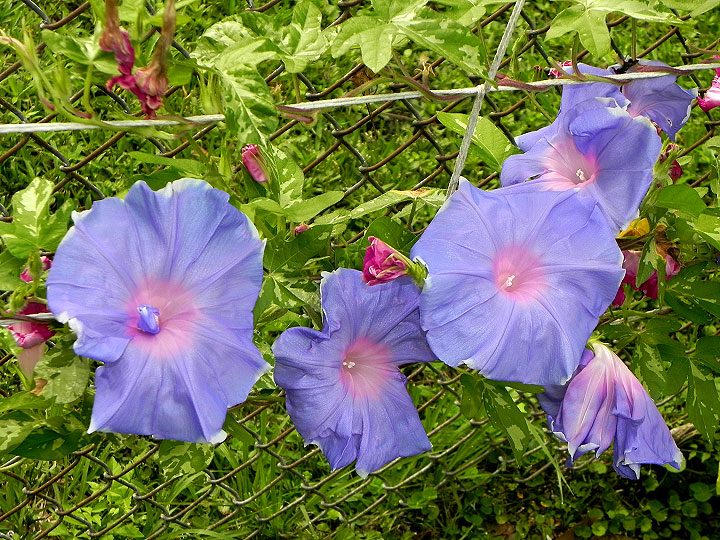 DSCN4656_01