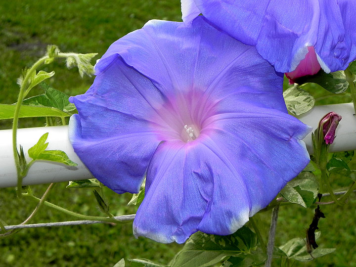 DSCN4658