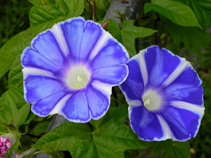 DSCN4760