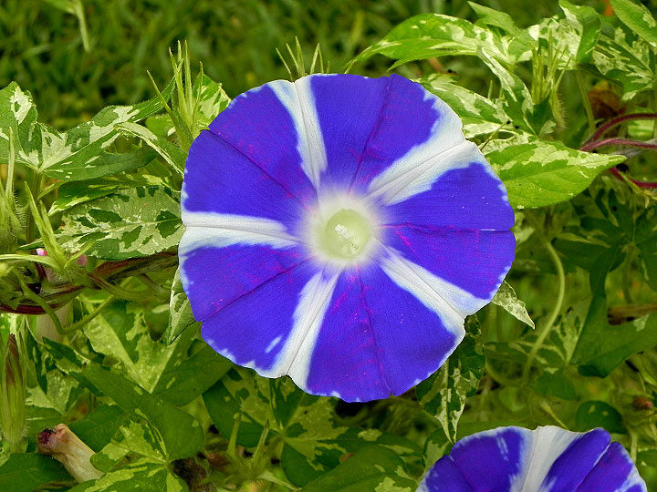 DSCN4802